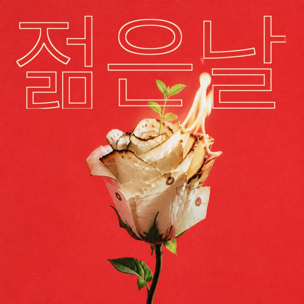 Image Cover